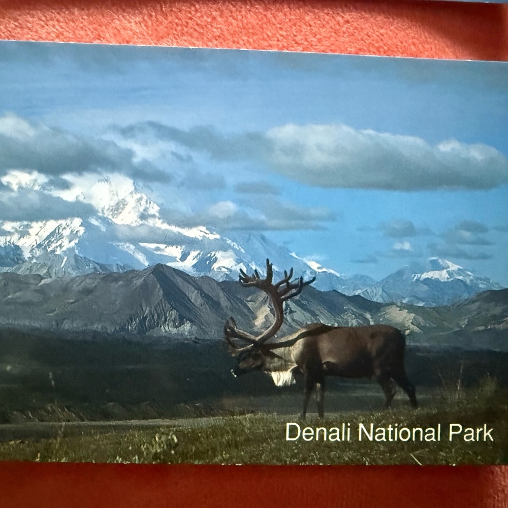 Alaska Postcard Collection - Picture 11 of 16